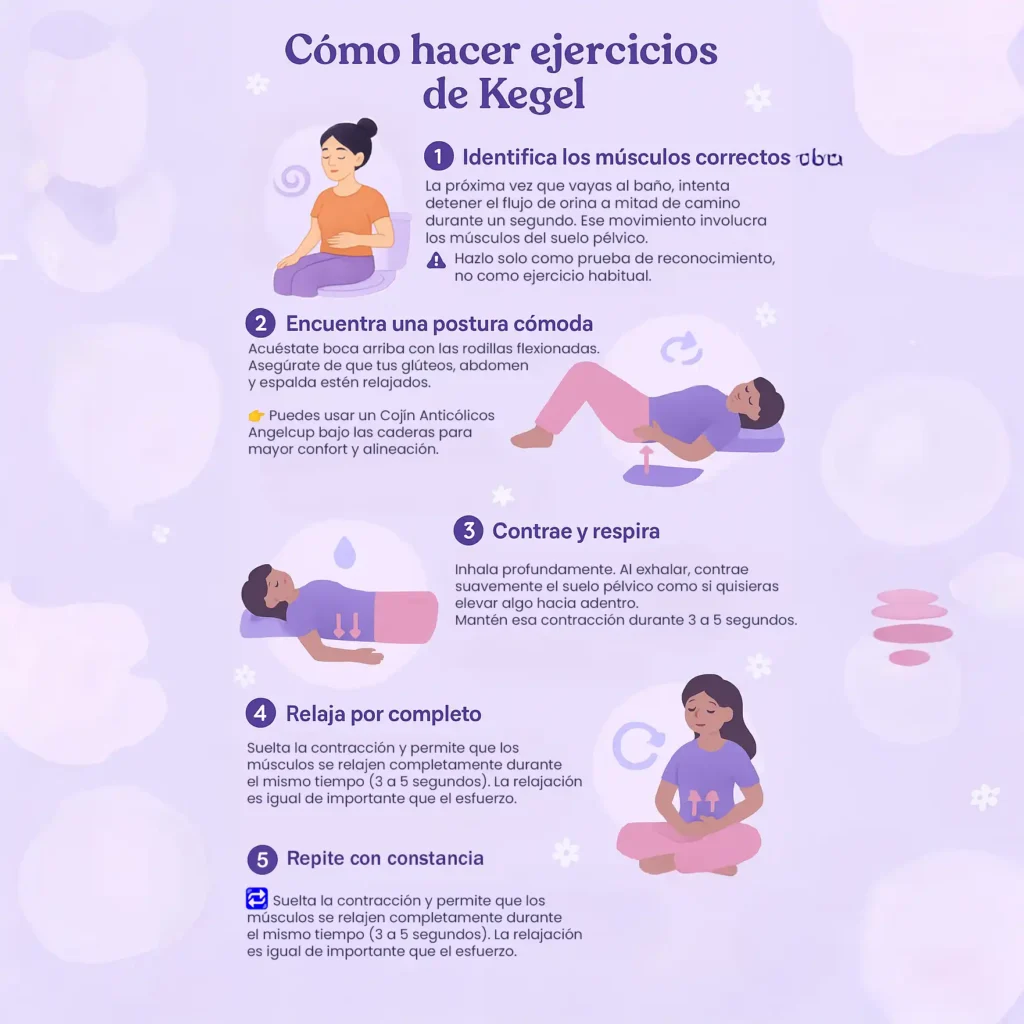 Infografía paso a paso sobre cómo hacer ejercicios de Kegel correctamente para fortalecer el suelo pélvico.
