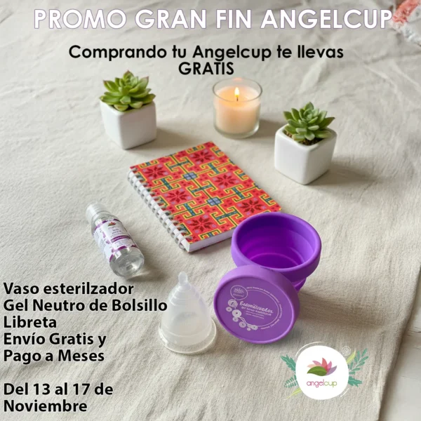 promo gran fin angelcup