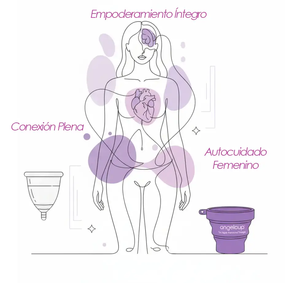 Ilustración minimalista de una mujer en postura frontal con líneas suaves y tonos lavanda, destacando cerebro, corazón y zona pélvica para representar bienestar integral, equilibrio emocional y autocuidado femenino. A los lados aparecen una copa menstrual Angelcup y su esterilizador plegable, simbolizando conexión plena, empoderamiento íntimo y salud menstrual.